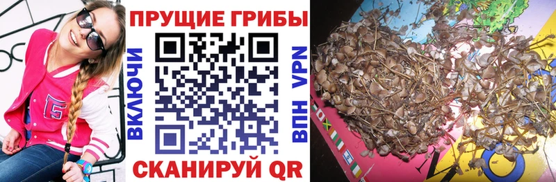 Галлюциногенные грибы мицелий Канск