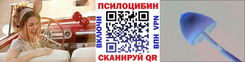 blacksprut рабочий сайт  Канск  Галлюциногенные грибы прущие грибы 