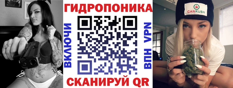 Шишки марихуана сатива Канск